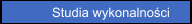 Studia wykonalności