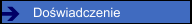 Doświadczenie